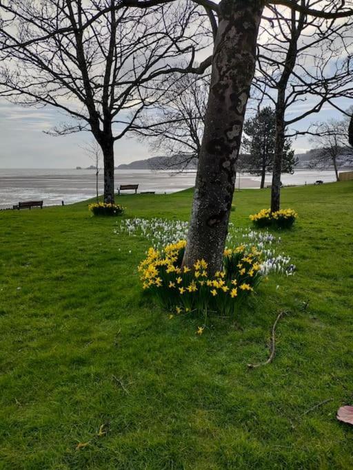 Fishermen'S Cottage With Log Burner, 2 Bathrooms & Sea Views From Garden Terraces Mumbles Exterior foto